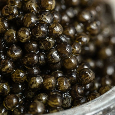 Swedish black caviar - Arctic Tradition