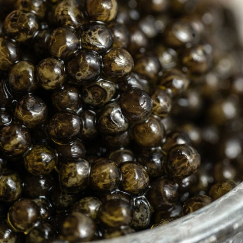 Schwedischer Schwarzer Kaviar - Arktische Perle