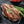 Load image into Gallery viewer, Älgryggbiff från svenskt älgkött på svart stenplatta med rosmarinkvist
