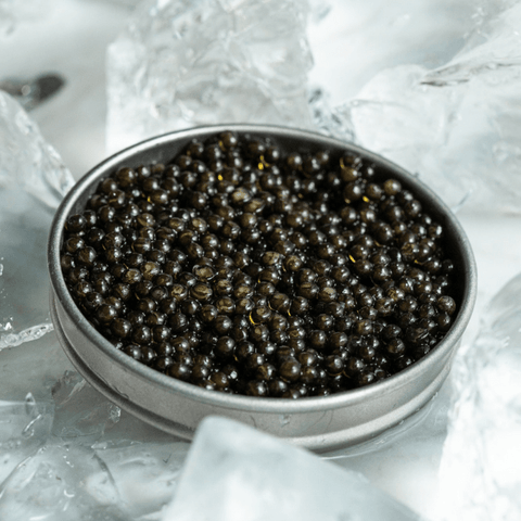 Schwedischer Schwarzer Kaviar - Arktische Tradition